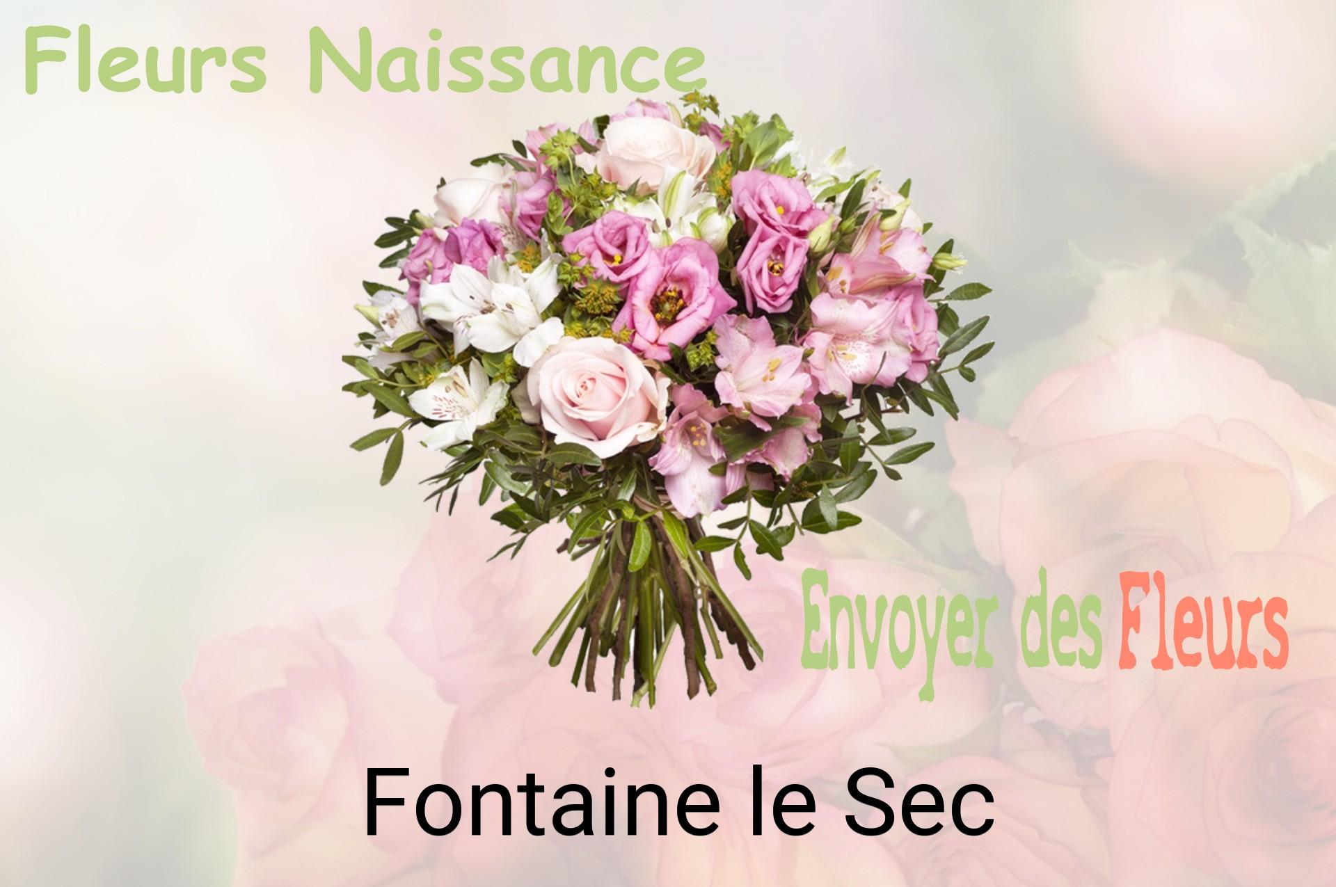 Bouquet de fleurs de naissance livré à Fontaine-le-Sec